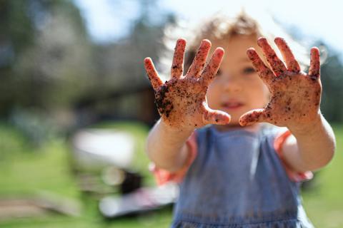 A toddler girl holds up dirt covered hands. Contaminated soil is a source of lead exposure for children.